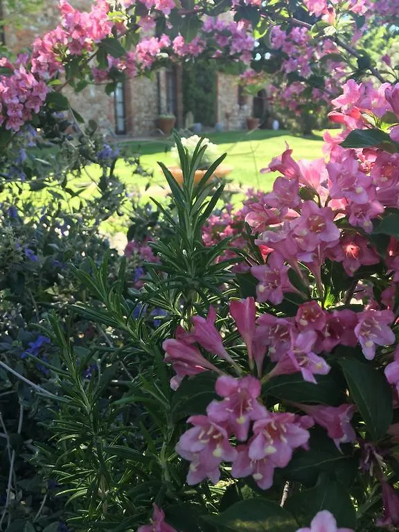 Fattoria Cirene Guest House Follonica