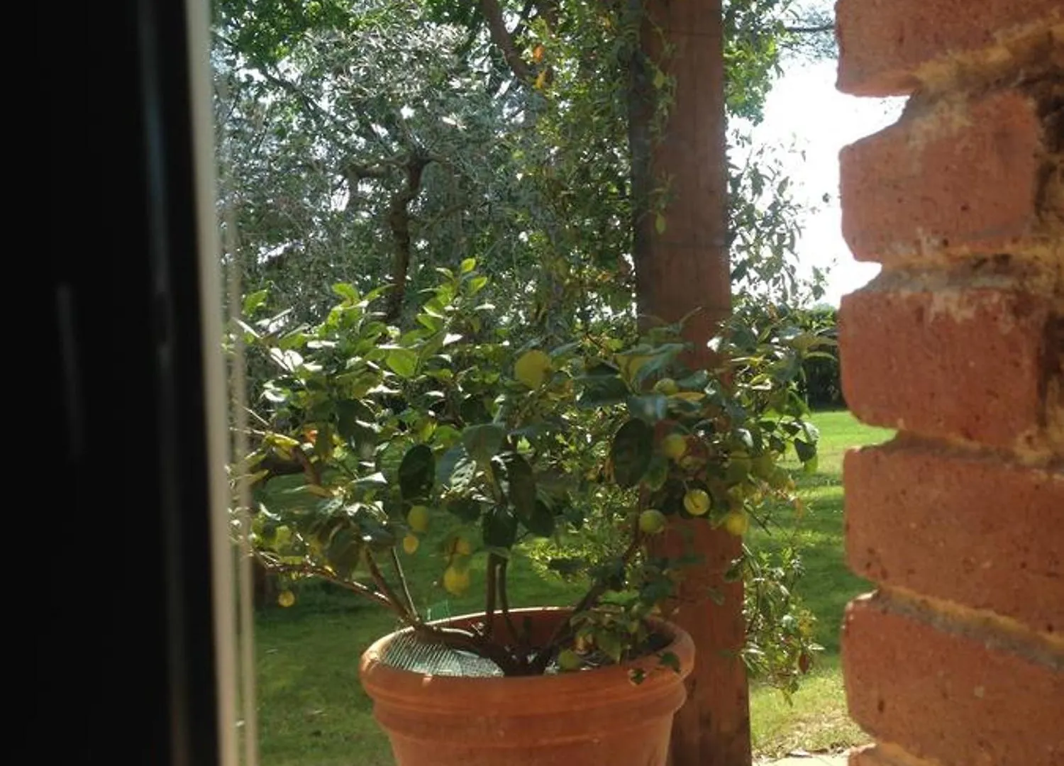 Fattoria Cirene Guest House Follonica Country house
